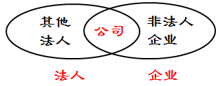 法人、企業(yè)、公司